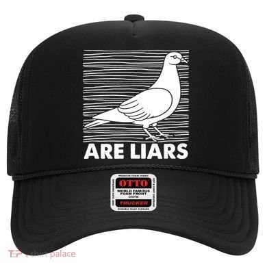 Pigeons Are Liars ArenT Real Spies Birds Pun Hat