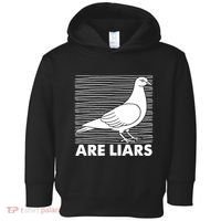 Pigeons Are Liars ArenT Real Spies Birds Pun Toddler Hoodie thumb 0