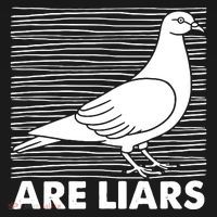 Pigeons Are Liars ArenT Real Spies Birds Pun Kids Sweatshirt thumb 2