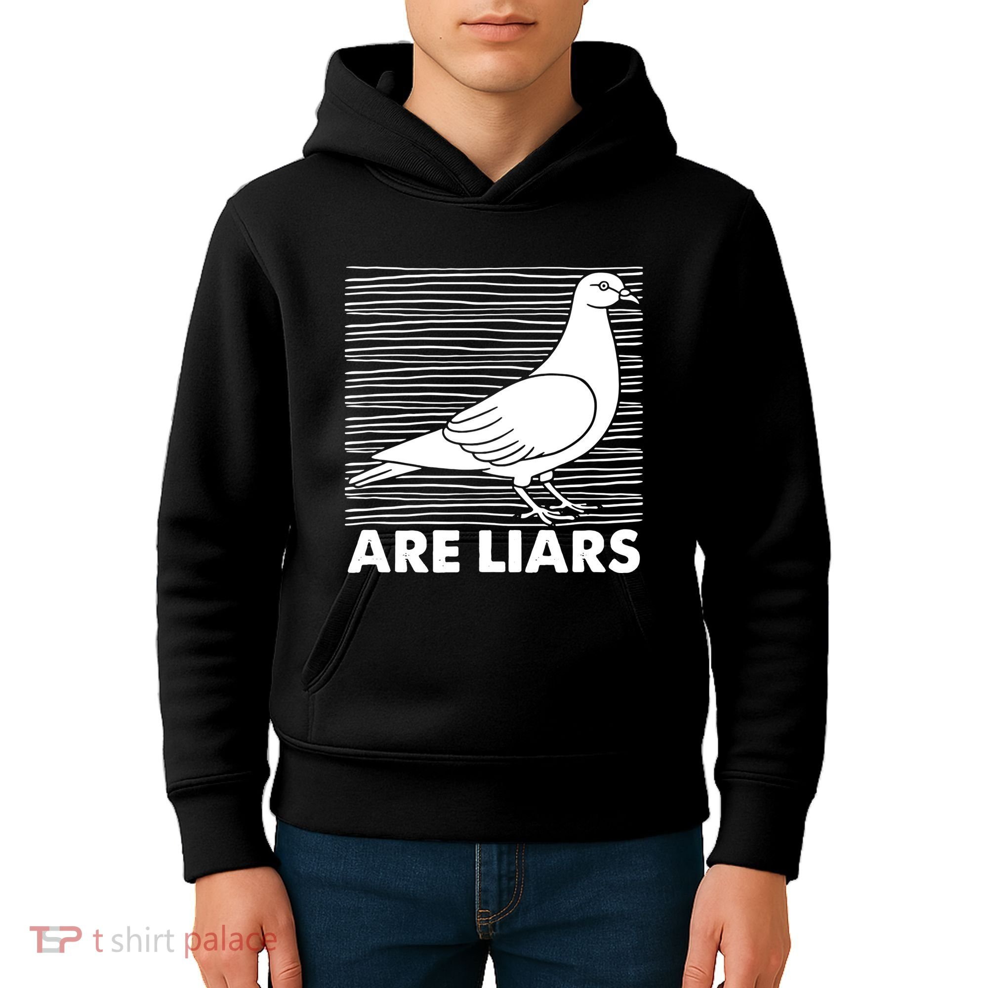 Pigeons Are Liars ArenT Real Spies Birds Pun Kids Hoodie