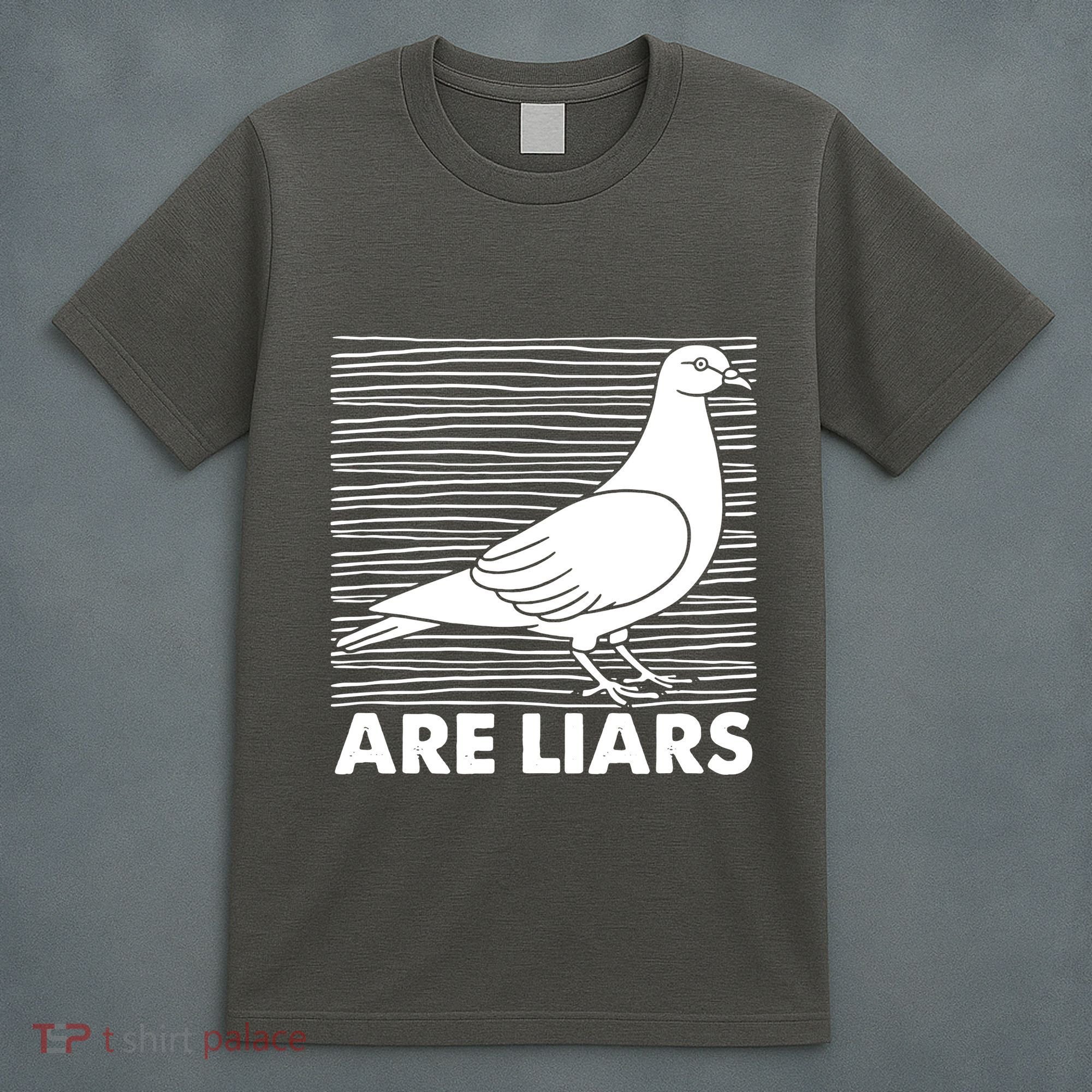 Pigeons Are Liars ArenT Real Spies Birds Pun T-Shirt
