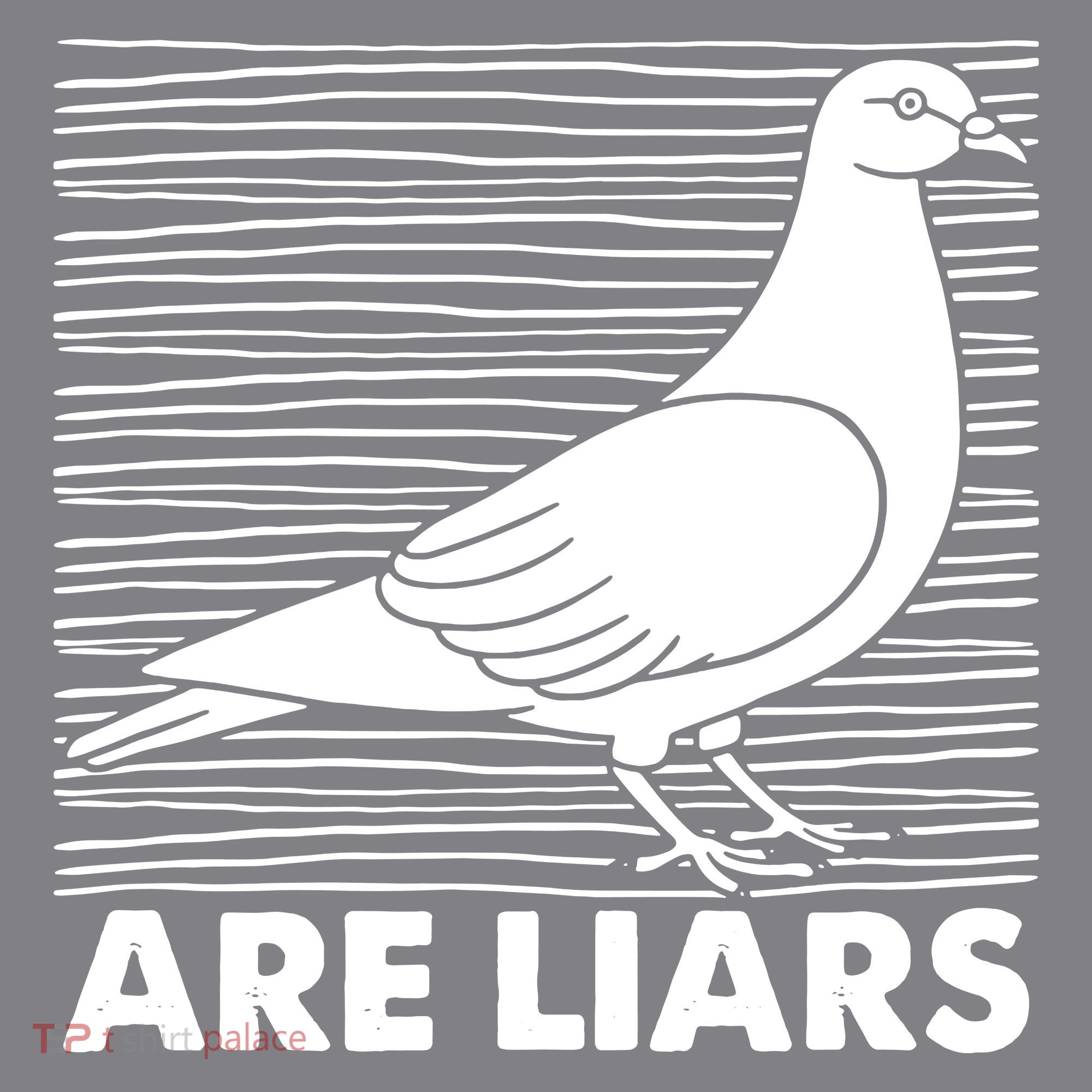 Pigeons Are Liars ArenT Real Spies Birds Pun T-Shirt