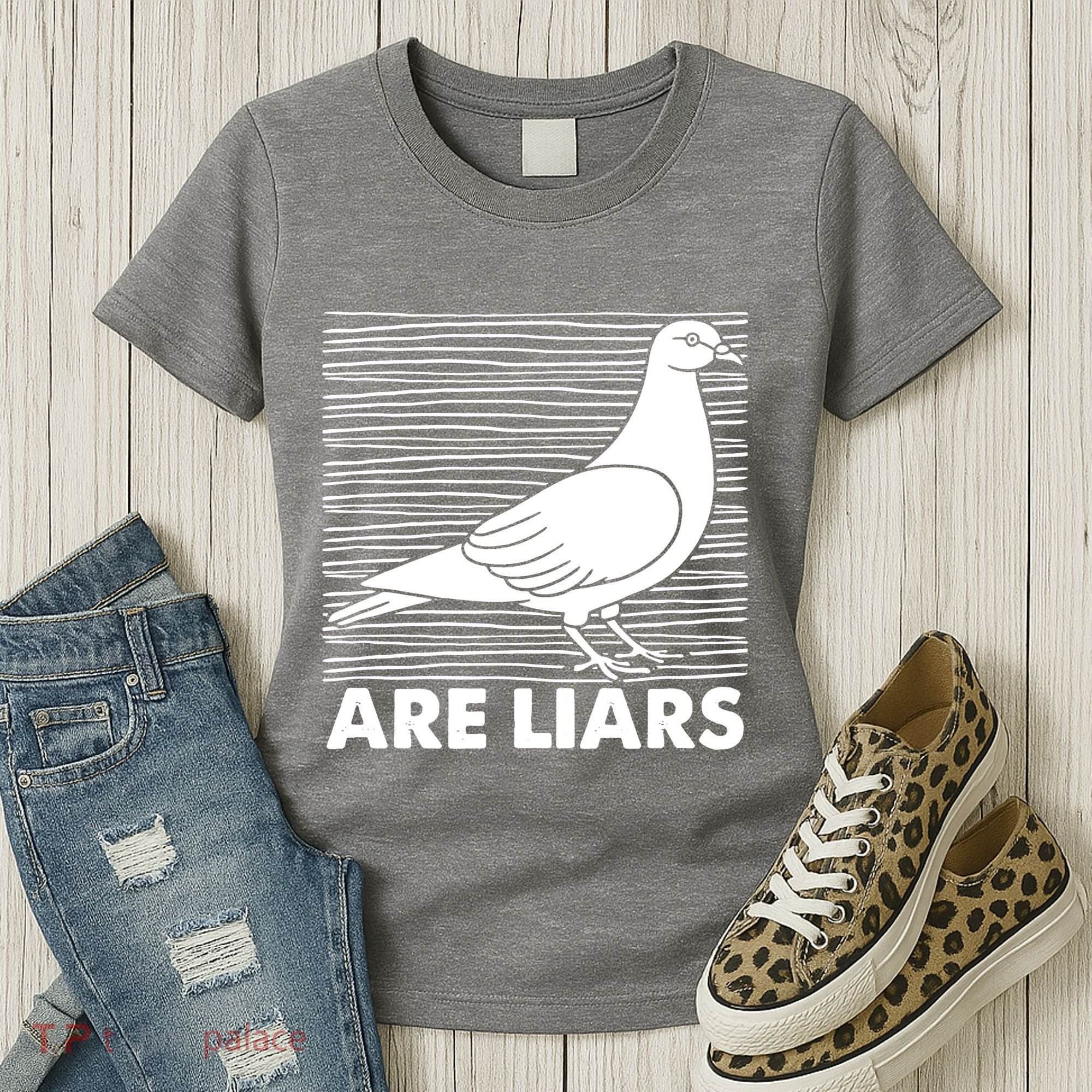 Pigeons Are Liars ArenT Real Spies Birds Pun Women's T-Shirt