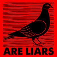 Pigeons Are Liars ArenT Real Spies Birds Pun Santa Hat thumb 1