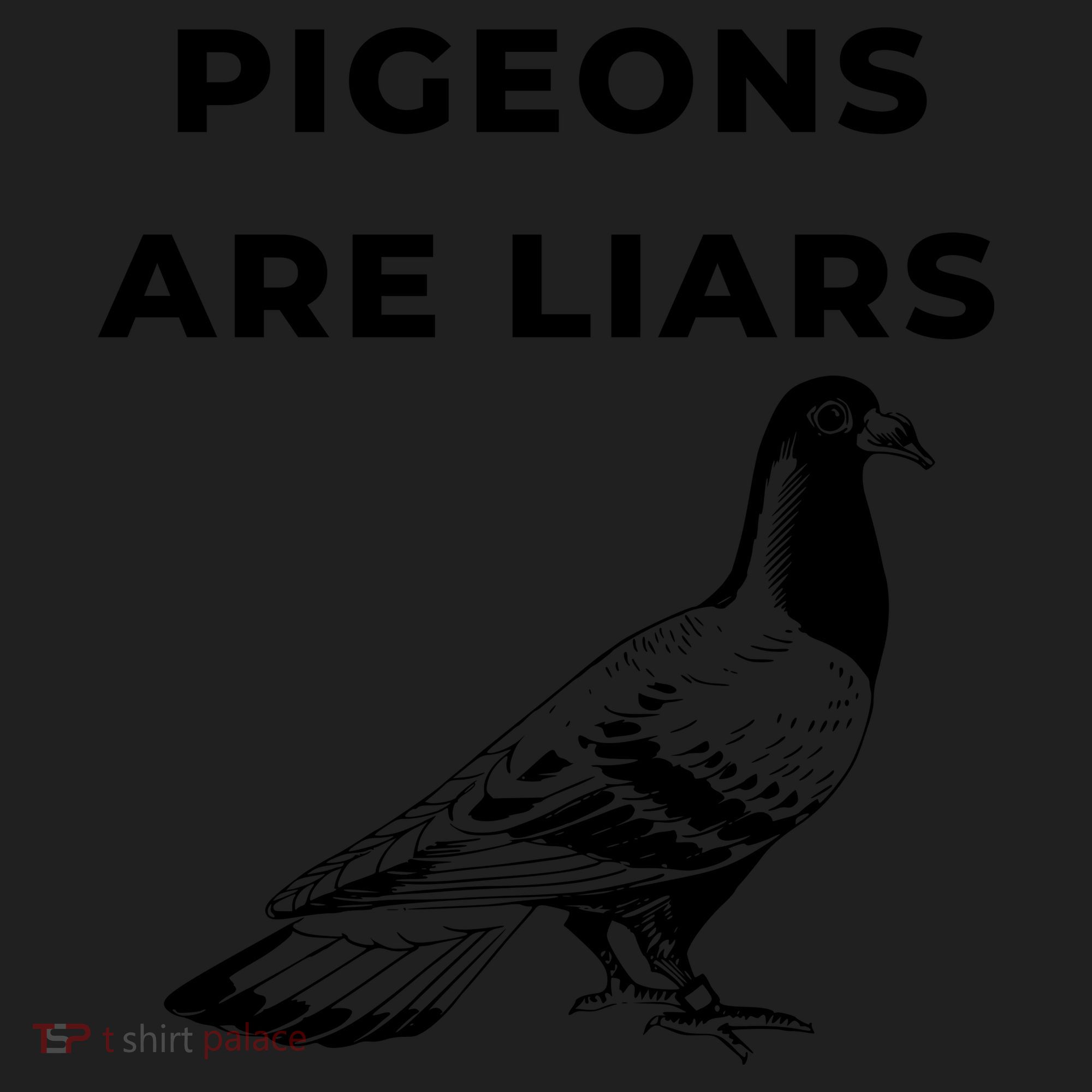 Pigeons Are Liars Women's Sweatshirt