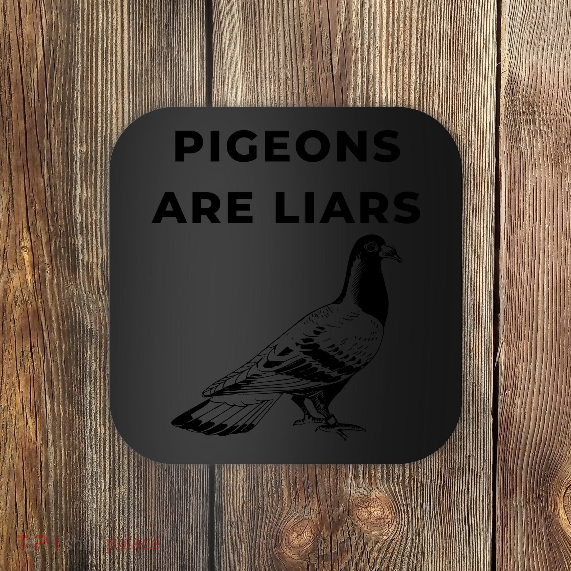Pigeons Are Liars Coaster