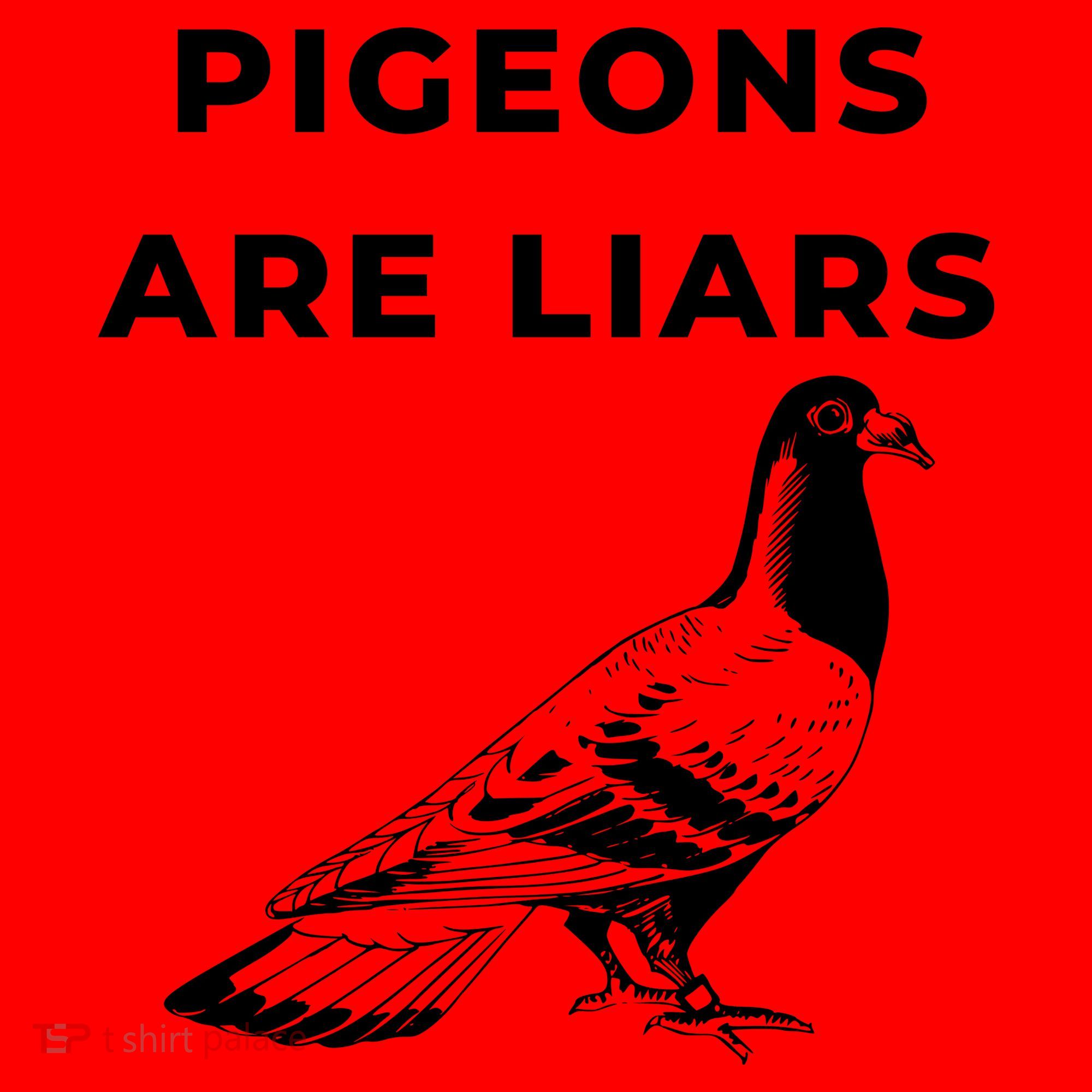 Pigeons Are Liars Santa Hat