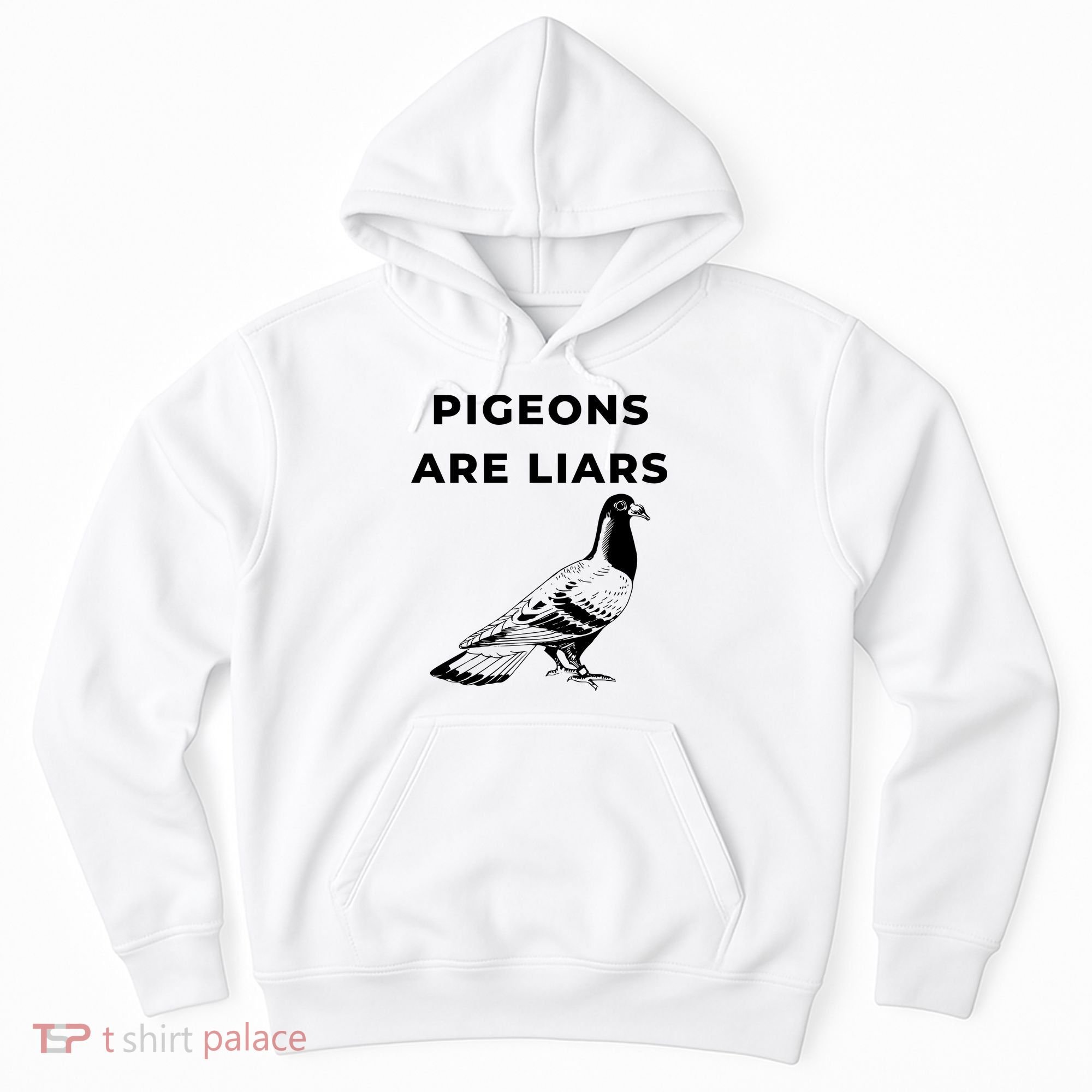 Pigeons Are Liars Hoodie