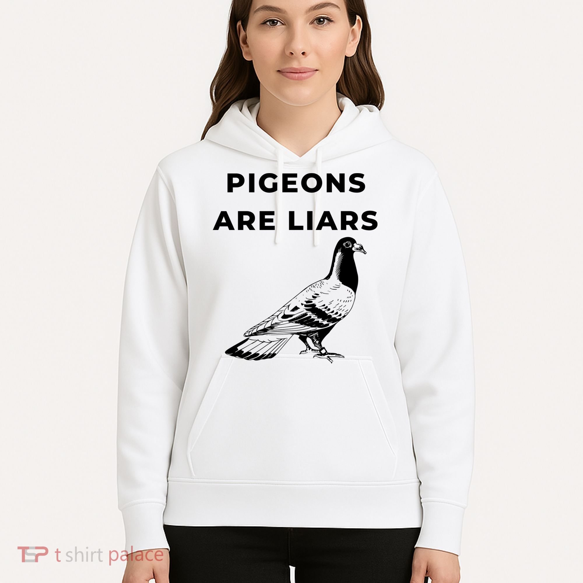 Pigeons Are Liars Hoodie