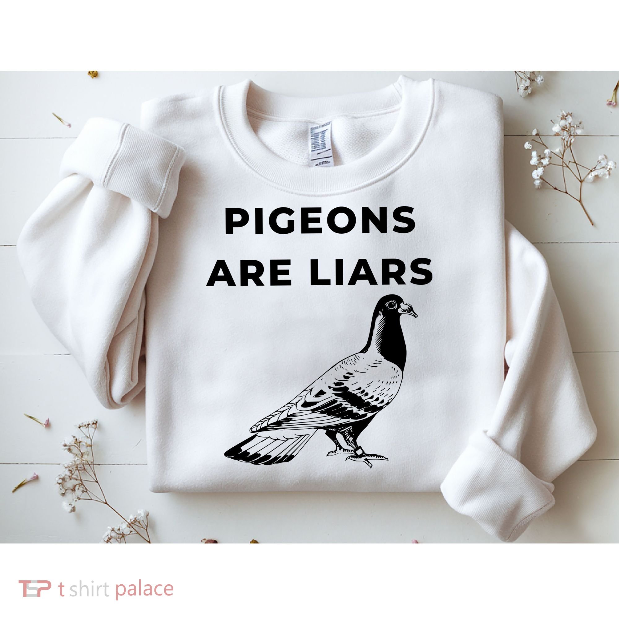Pigeons Are Liars Sweatshirt