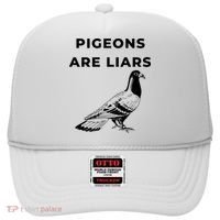 Pigeons Are Liars Hat thumb 0