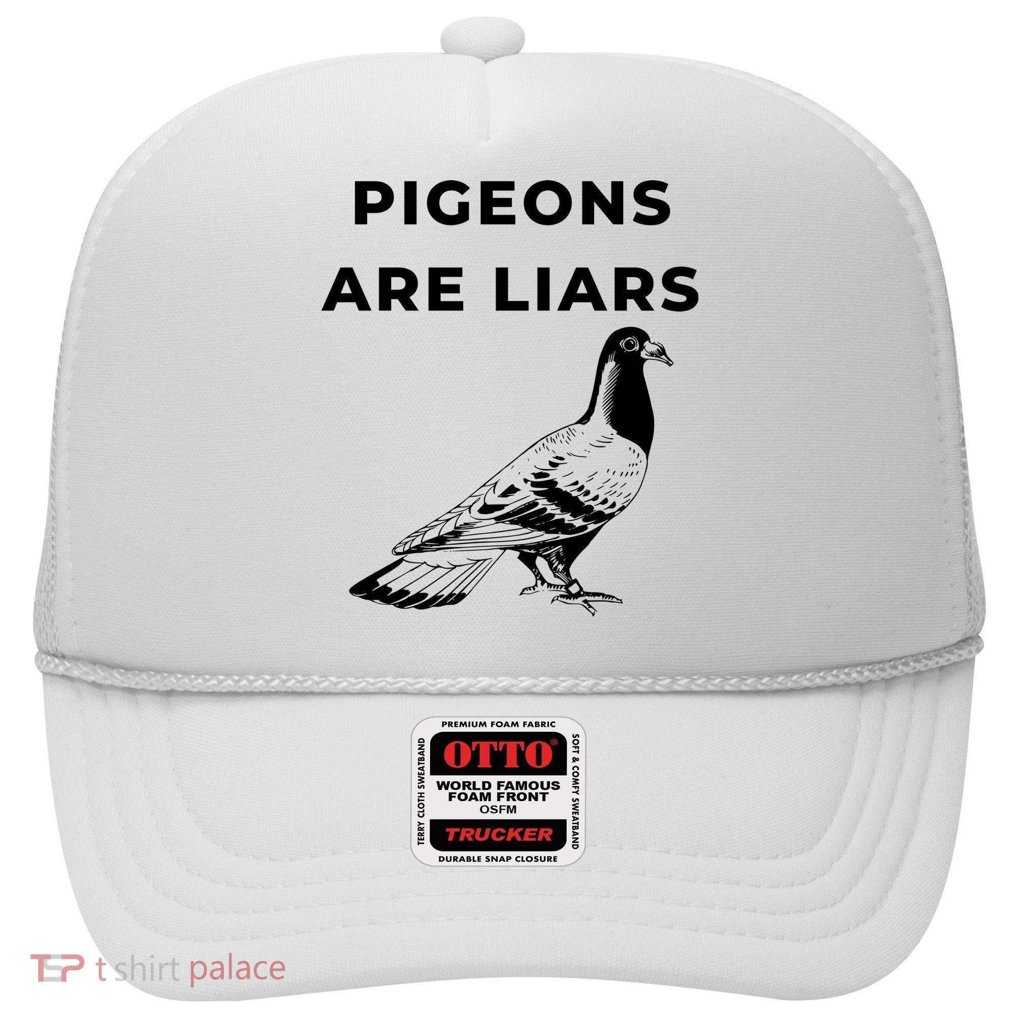 Pigeons Are Liars Hat