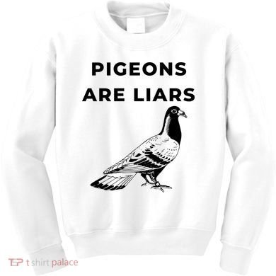 Pigeons Are Liars Kids Sweatshirt
