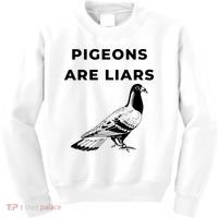 Pigeons Are Liars Kids Sweatshirt thumb 0