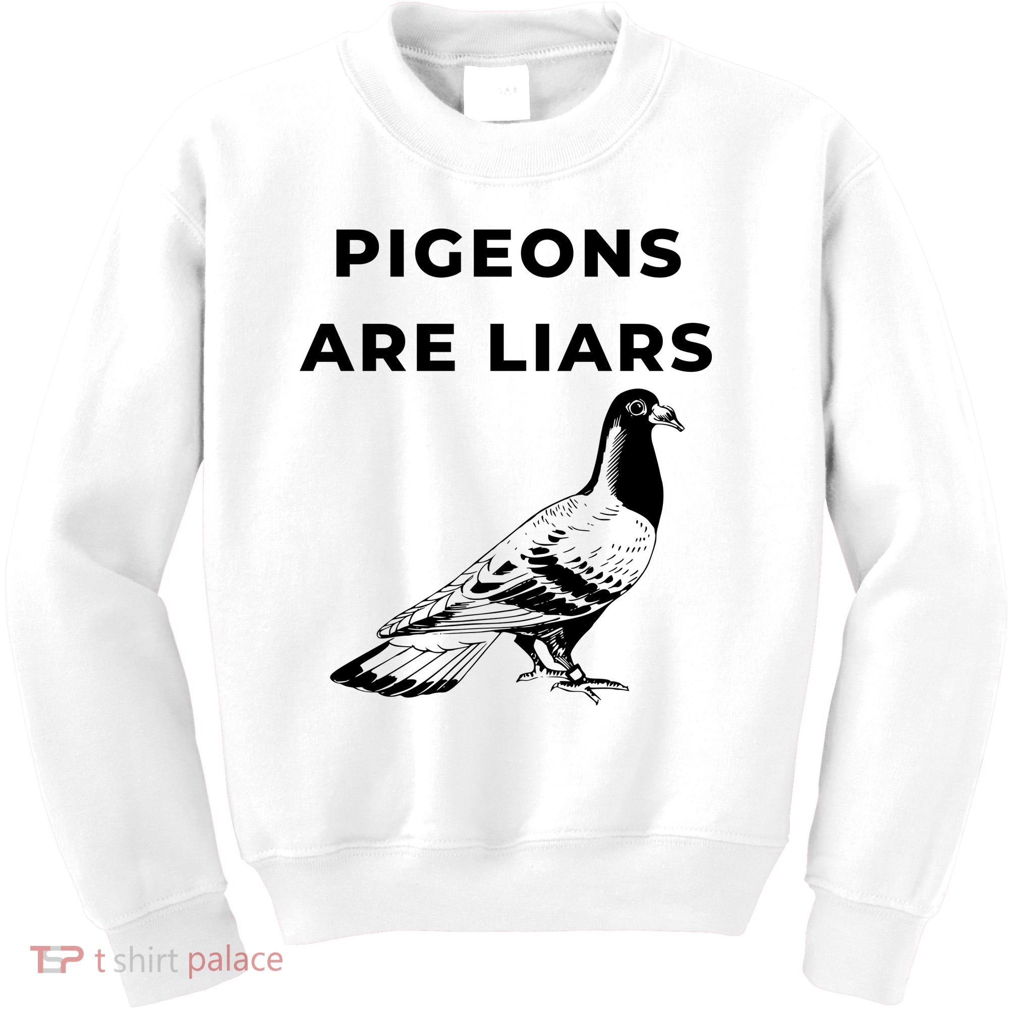 Pigeons Are Liars Kids Sweatshirt