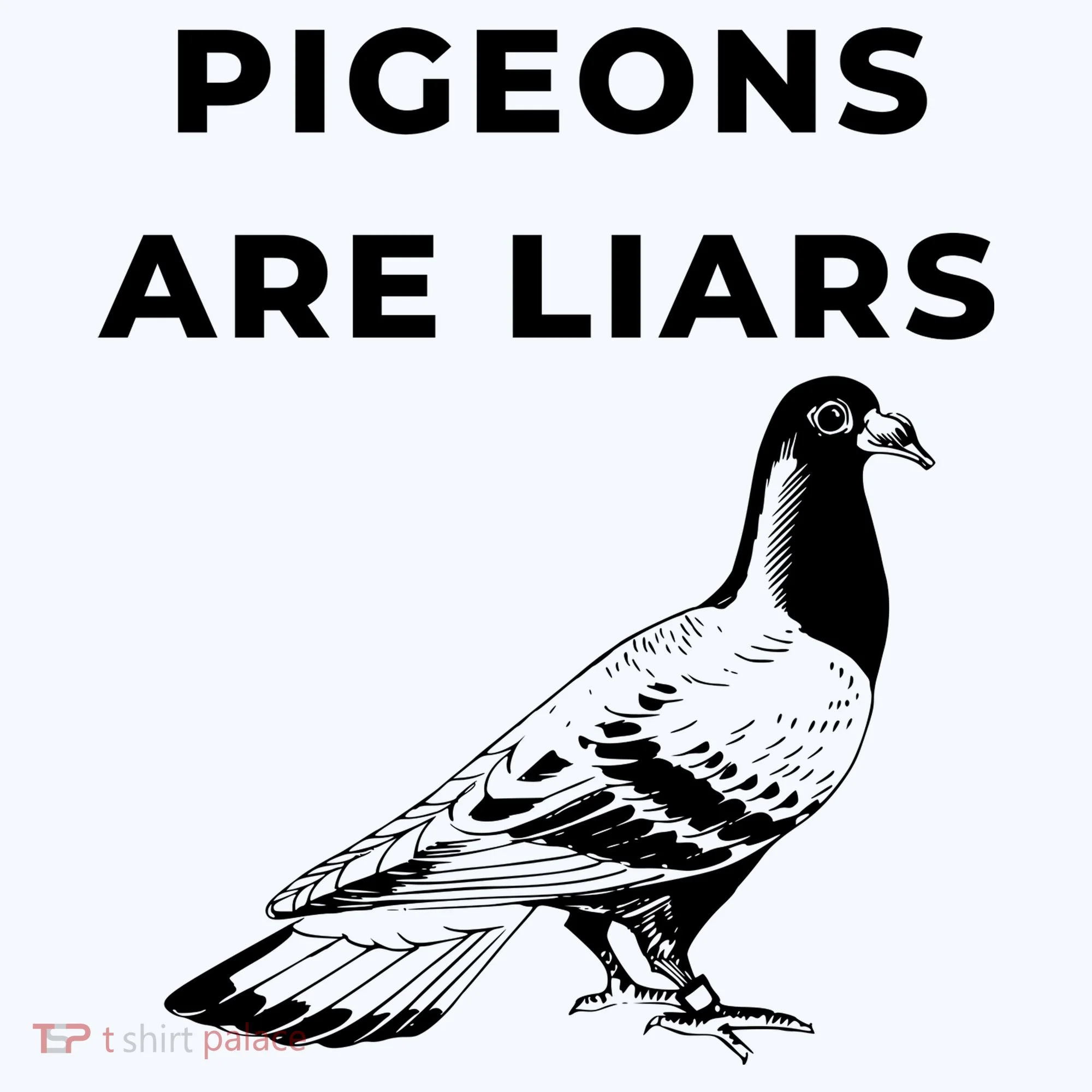 Pigeons Are Liars Kids T-Shirt