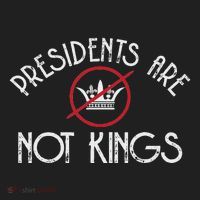 Presidents Are Not Kings Democracy America Beanie thumb 2