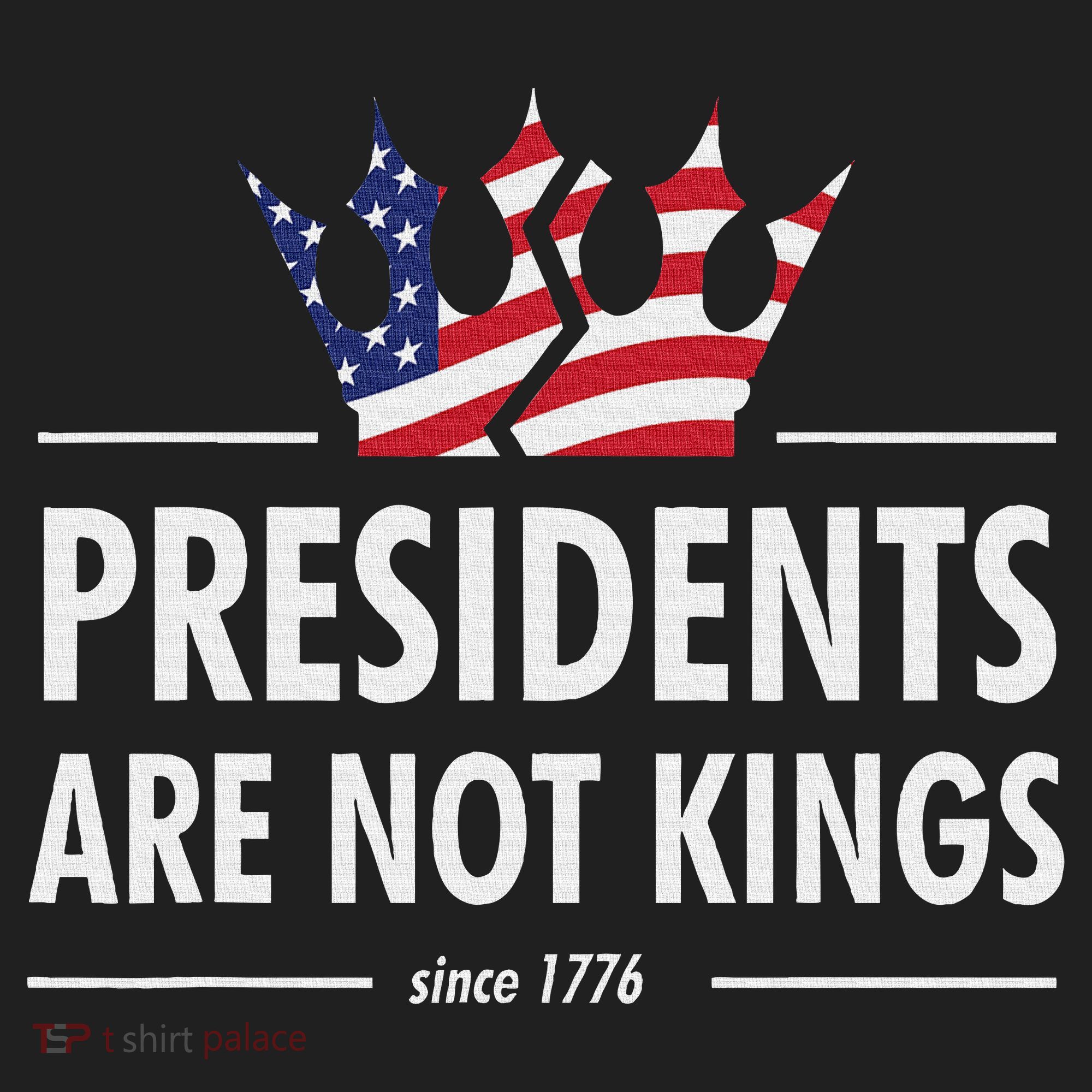Presidents Are Not Kings Usa Flag Since 1776 Beanie