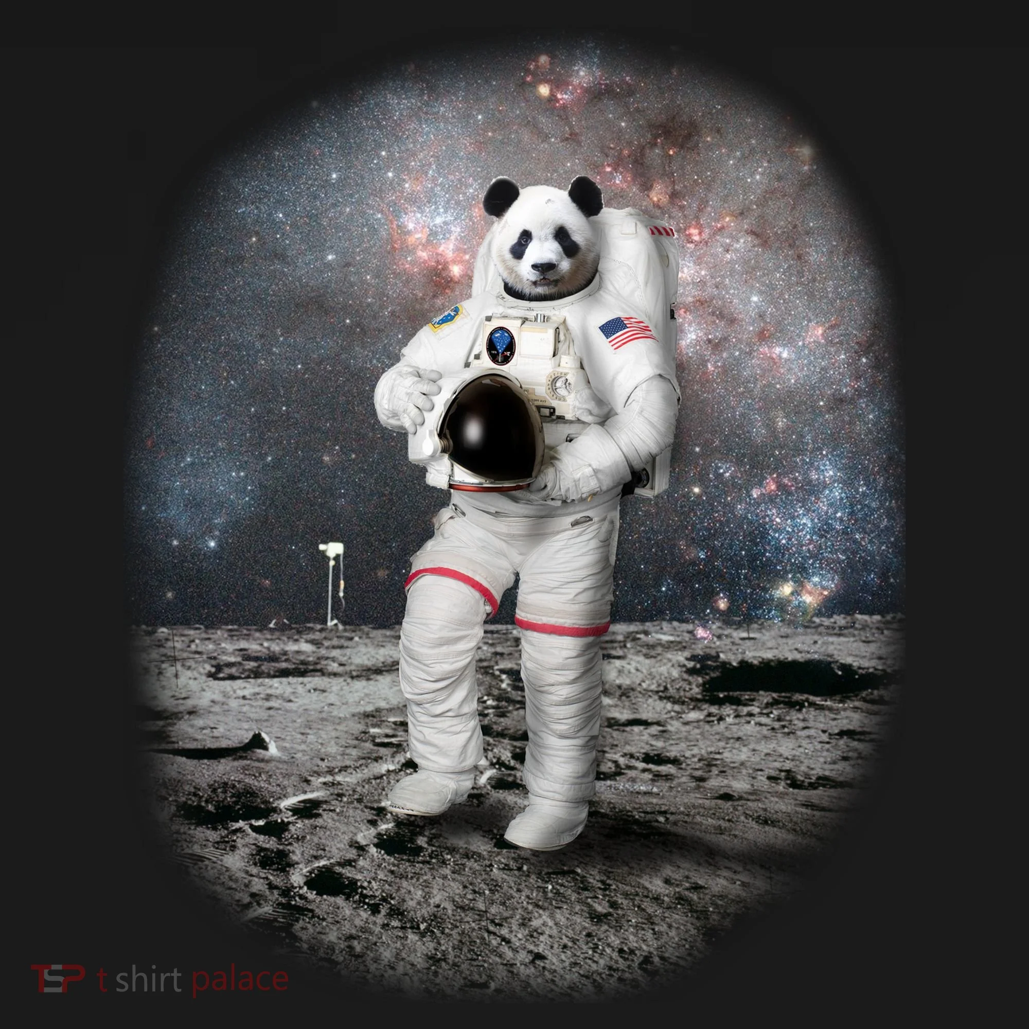 Panda In Space Astronaut Hoodie