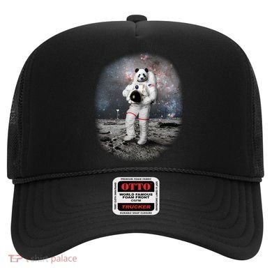 Panda In Space Astronaut Hat
