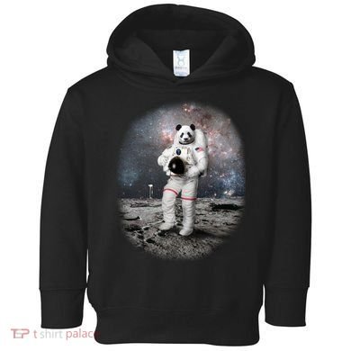 Panda In Space Astronaut Toddler Hoodie