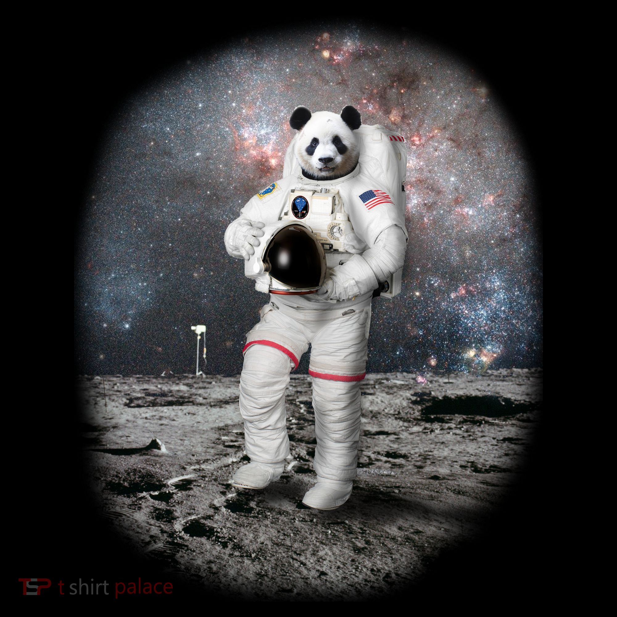 Panda In Space Astronaut Kids Sweatshirt