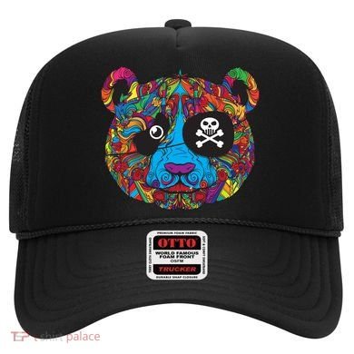 Panda Pirate Abstract Hat
