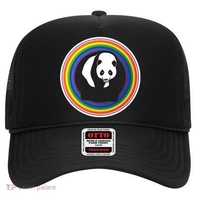 Panda Rainbow Hat