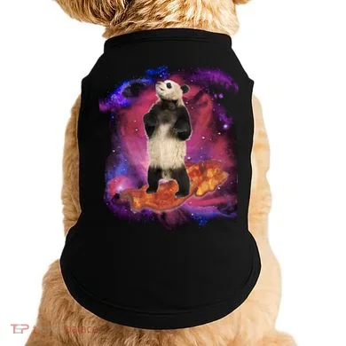 Panda Surfing Bacon In Space Doggie Tank