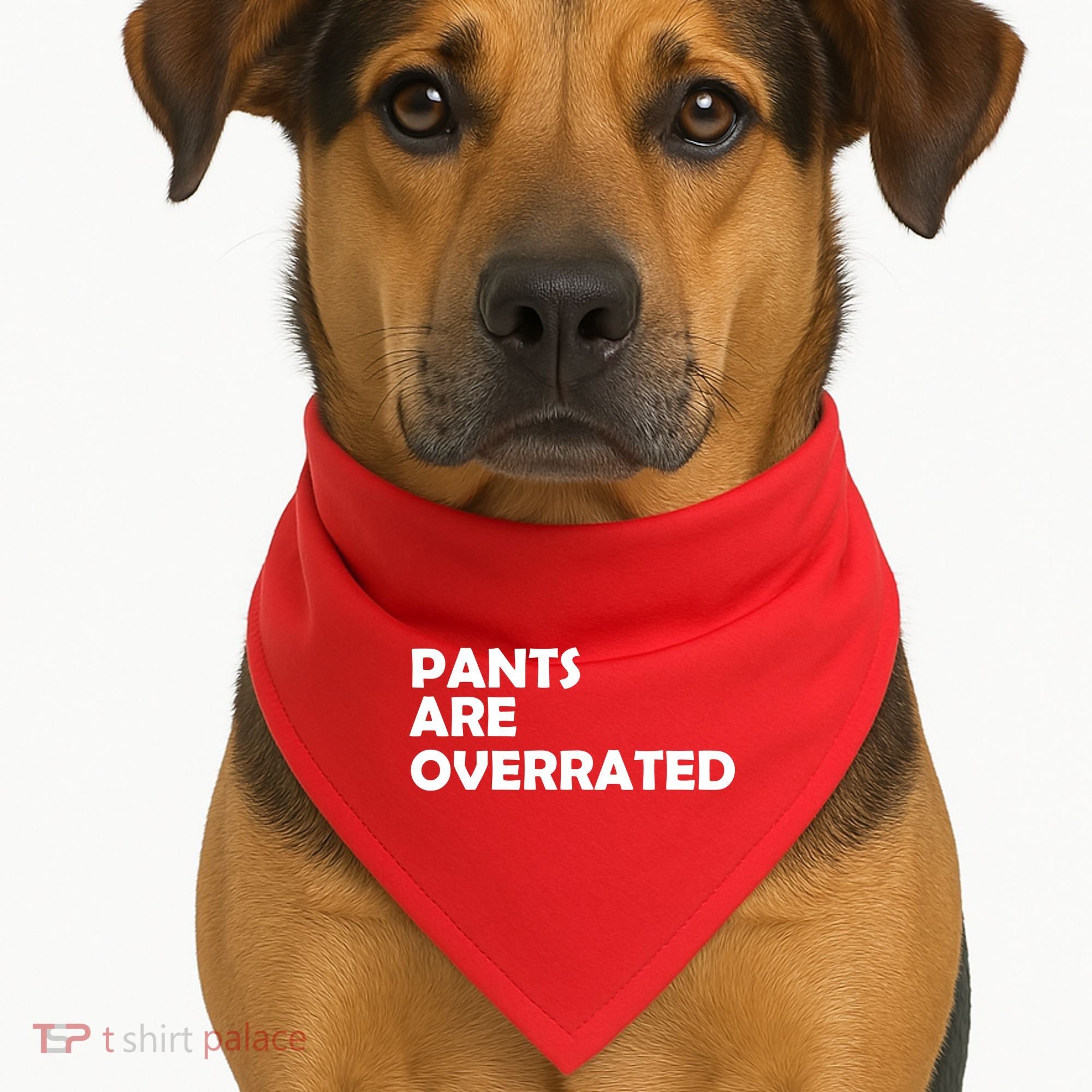 Pants Are Overrated USA-Made Doggie Bandana