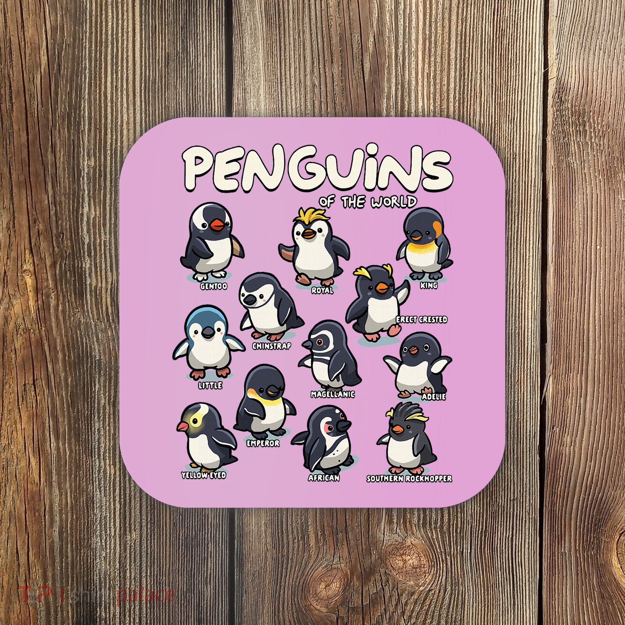 Penguins Animals Of The World Penguin Lovers Coaster