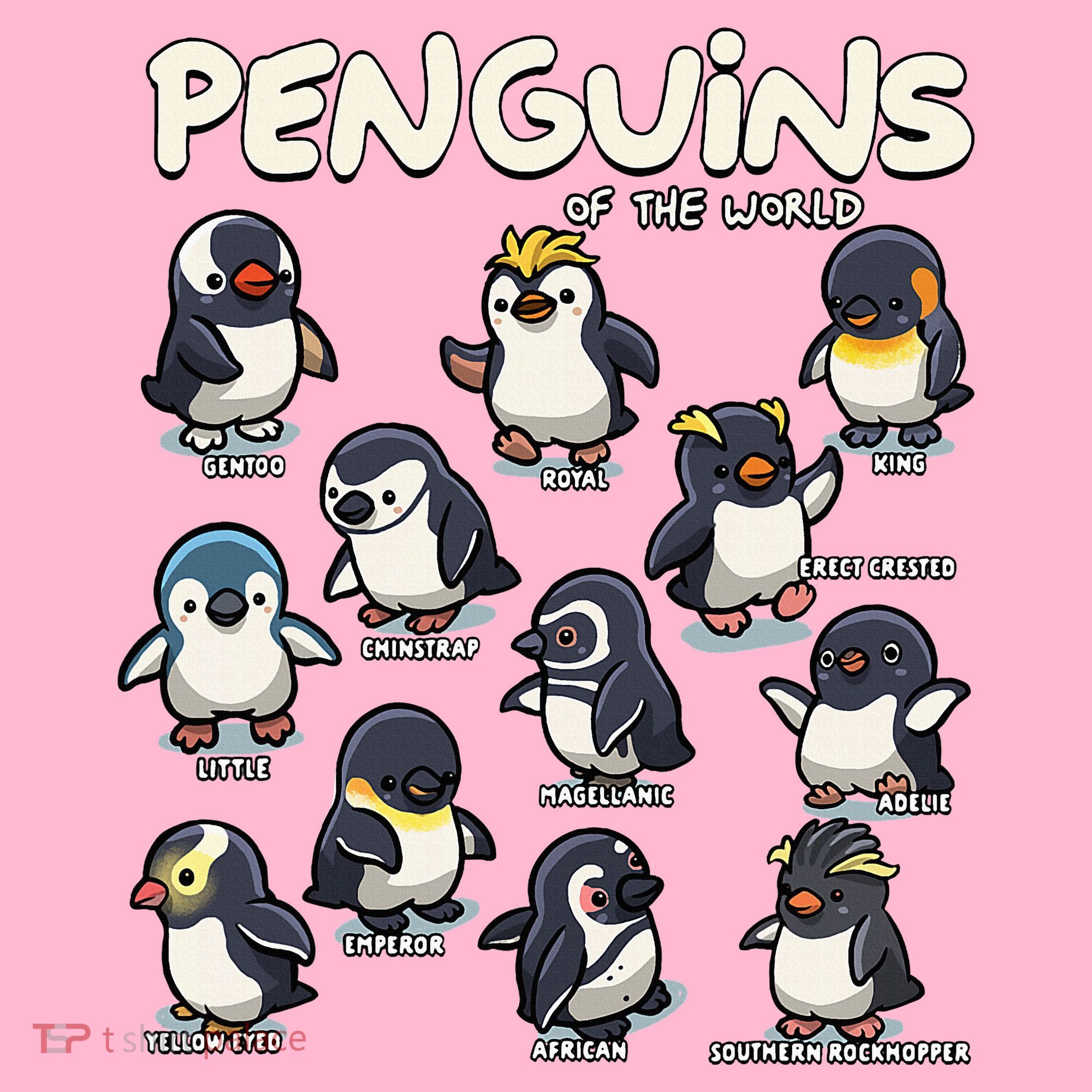 Penguins Animals Of The World Penguin Lovers Coaster