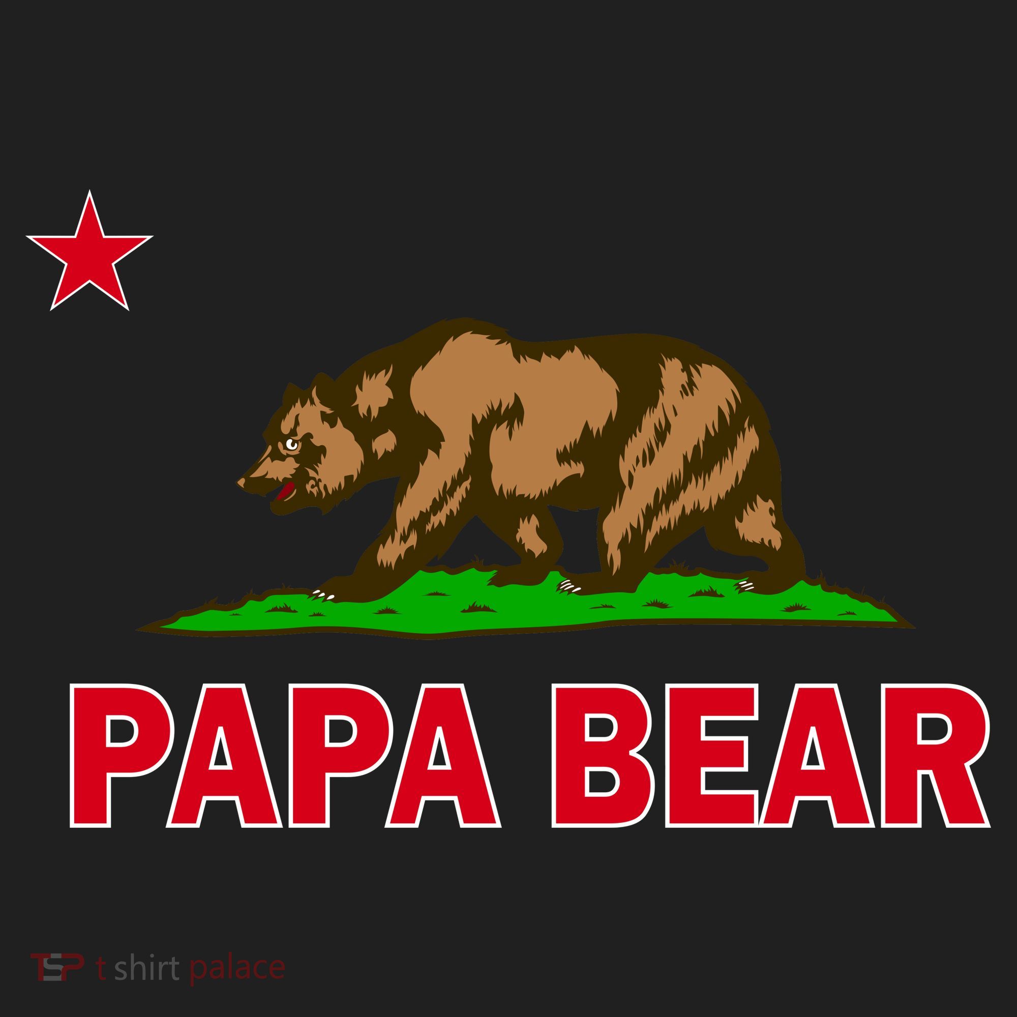 Papa Bear California Republic 7 Panel Mesh Trucker Snapback Hat