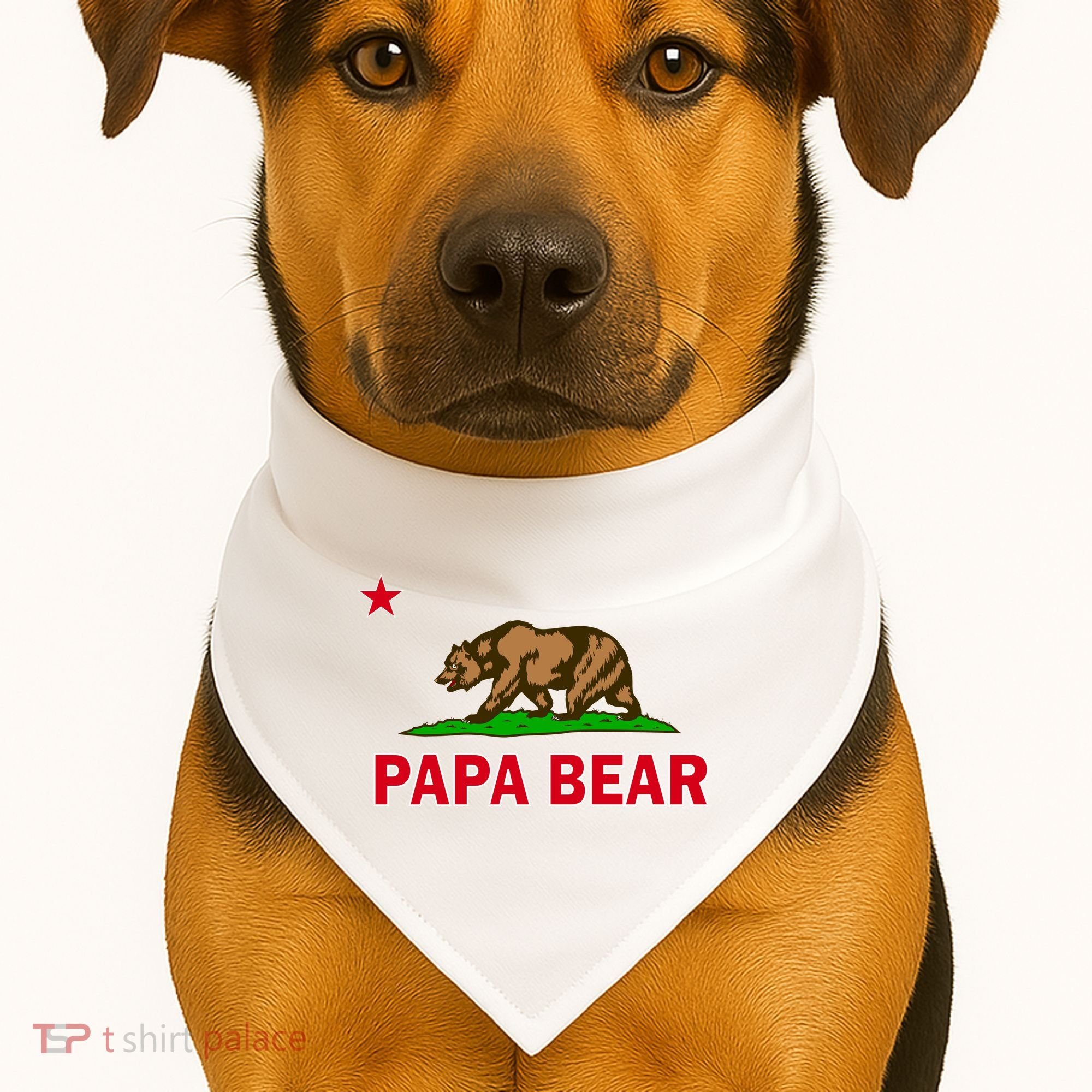 Papa Bear California Republic USA-Made Doggie Bandana