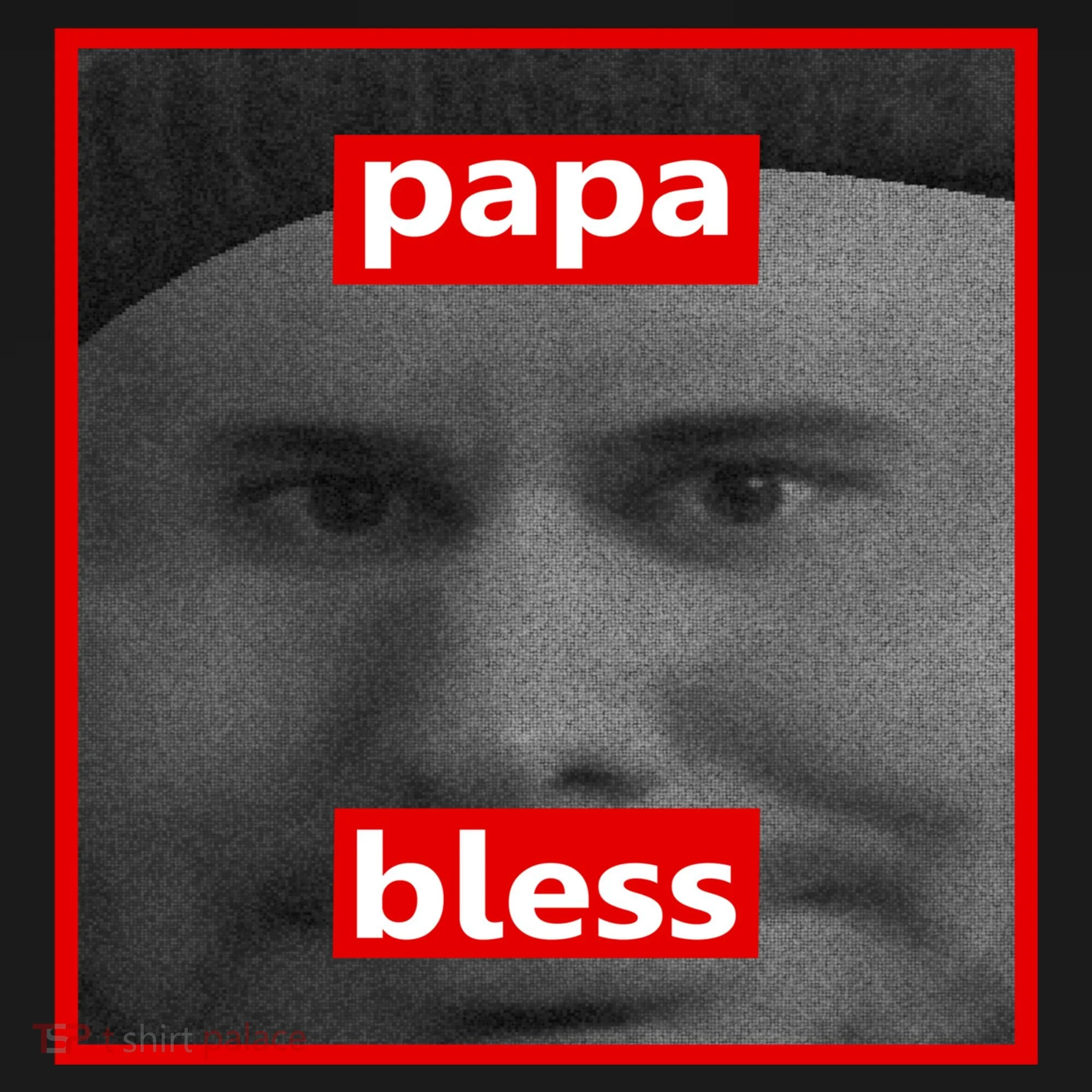 Papa Bless Funny Photo Meme Baby Bodysuit