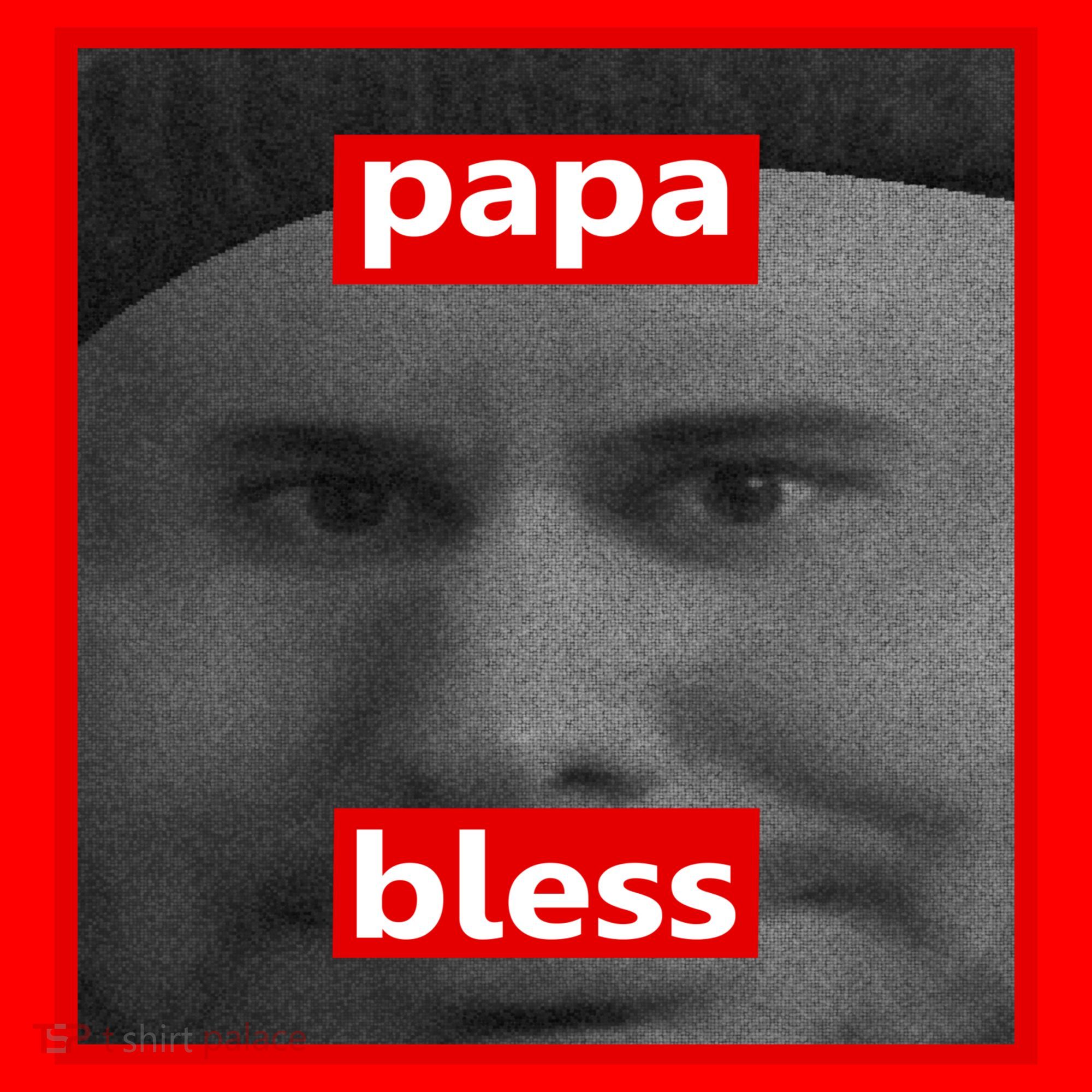 Papa Bless Funny Photo Meme Santa Hat