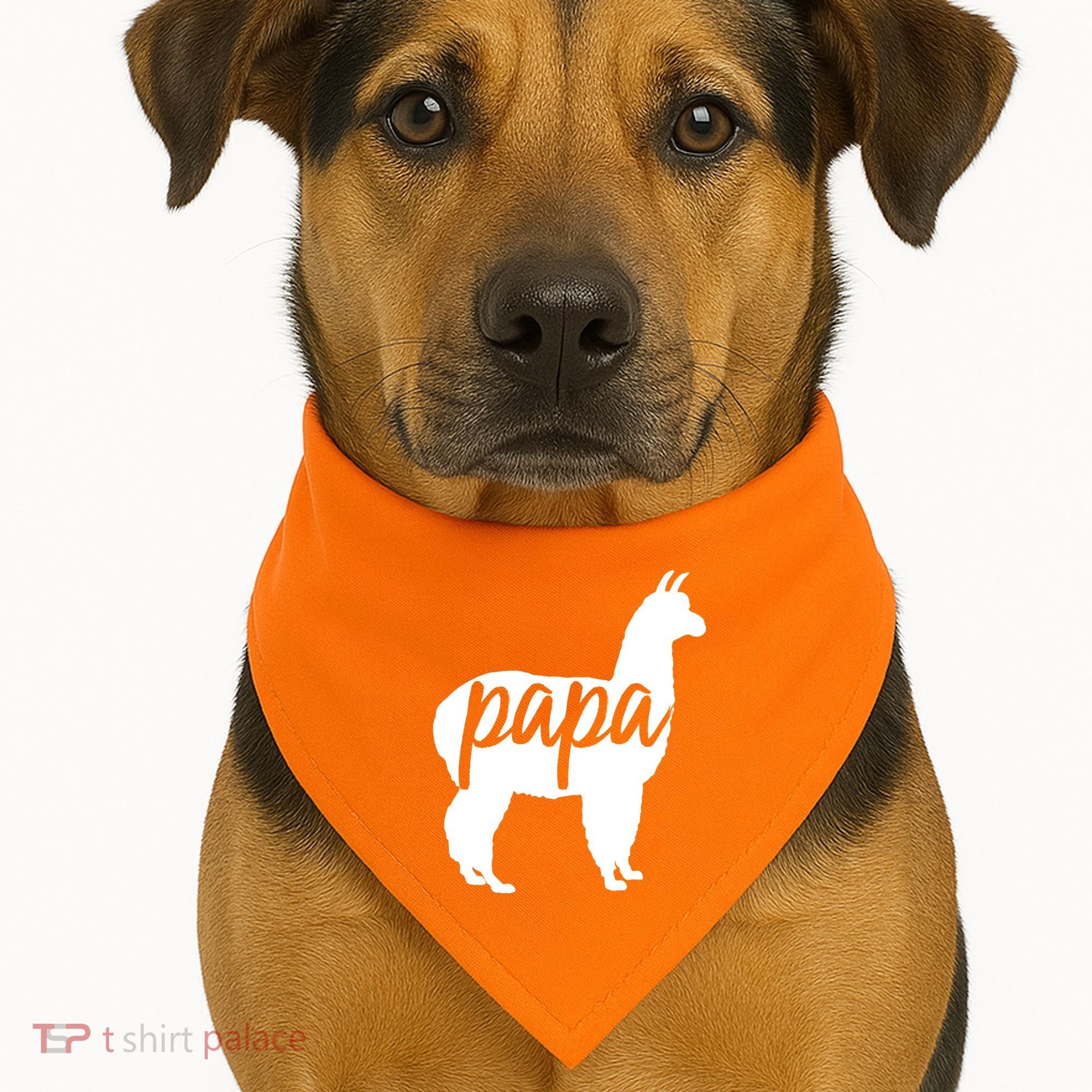 Papa Lama USA-Made Doggie Bandana