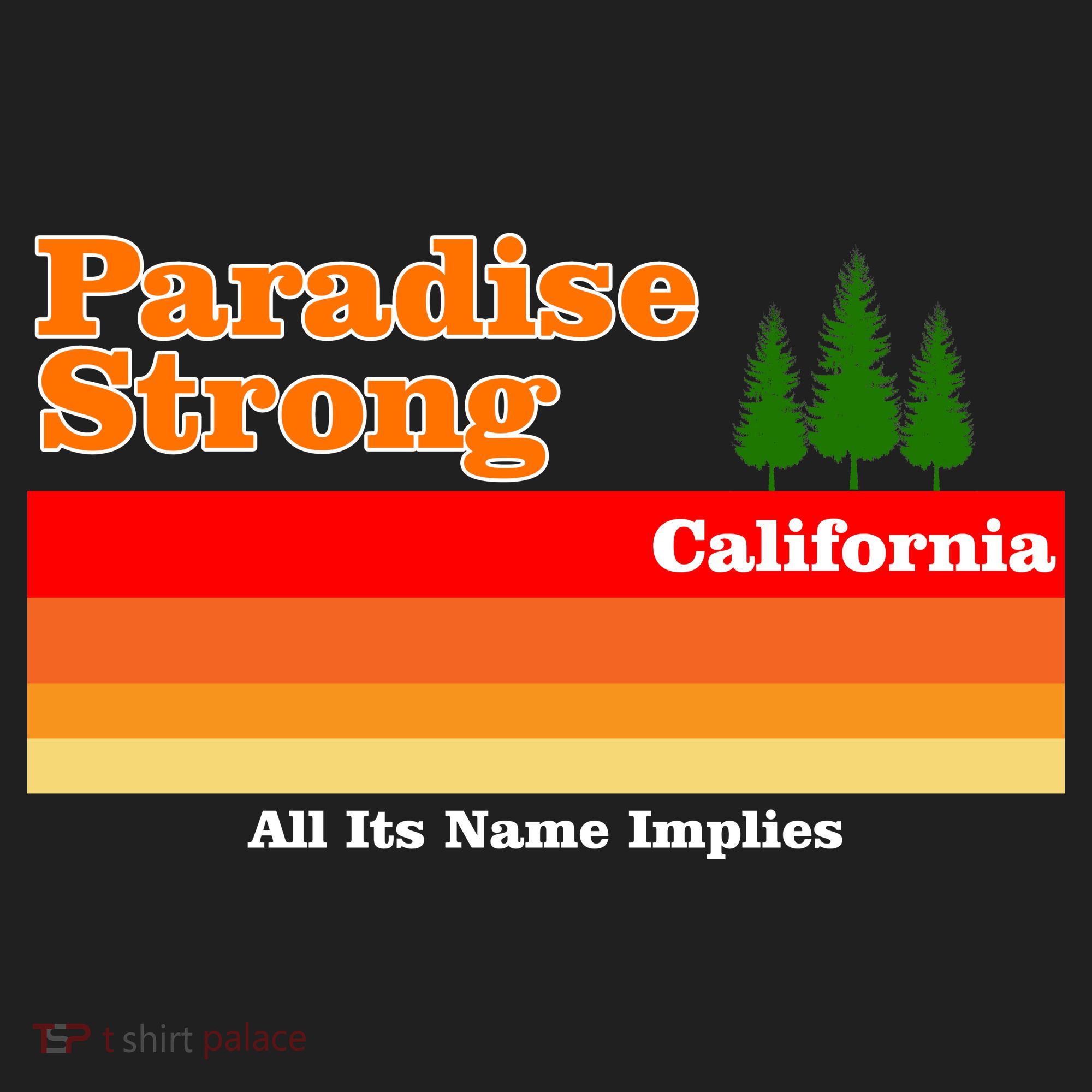 Paradise Strong Camp Fire California Beanie