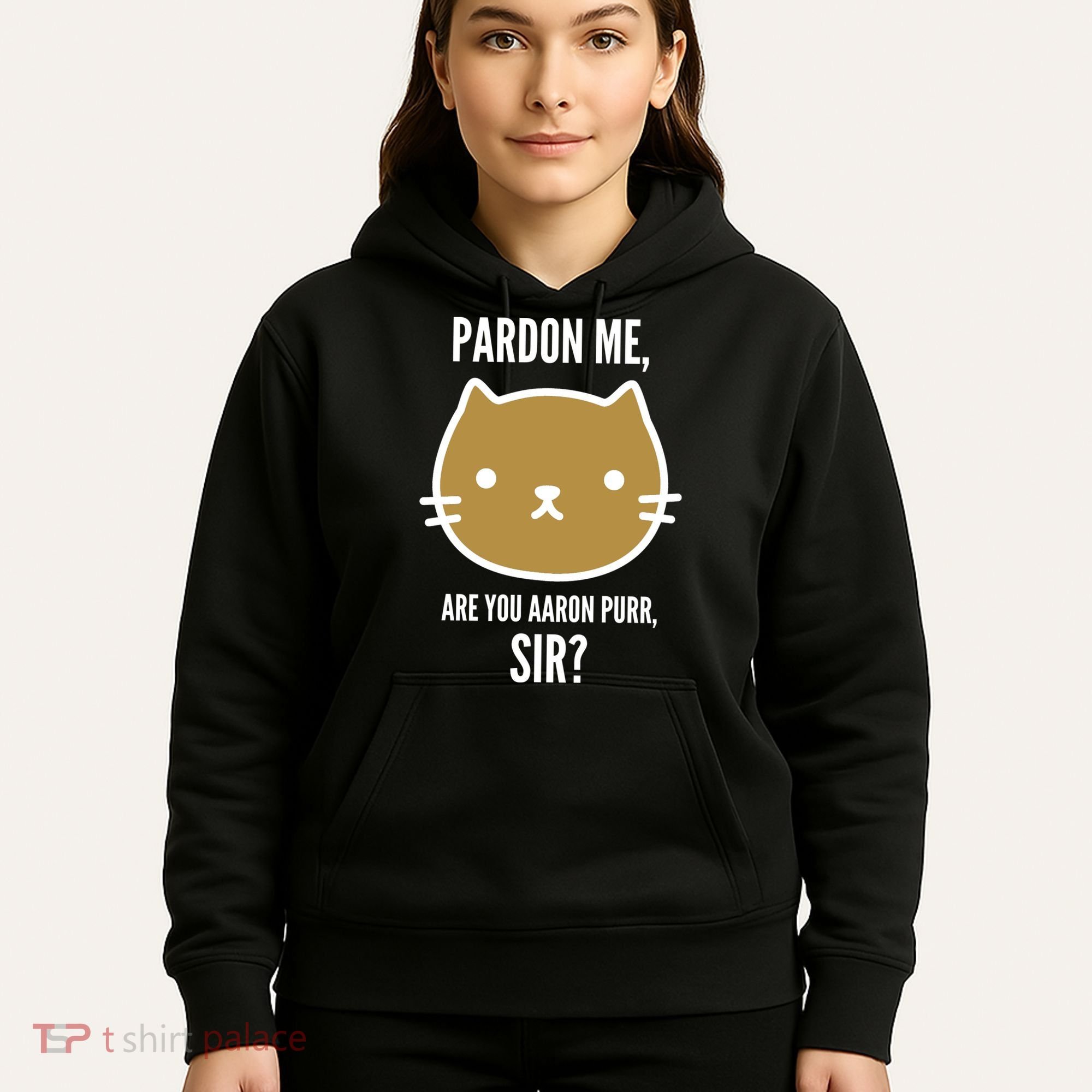Pardon Me Are You Aaron Purr, Sir? Hoodie