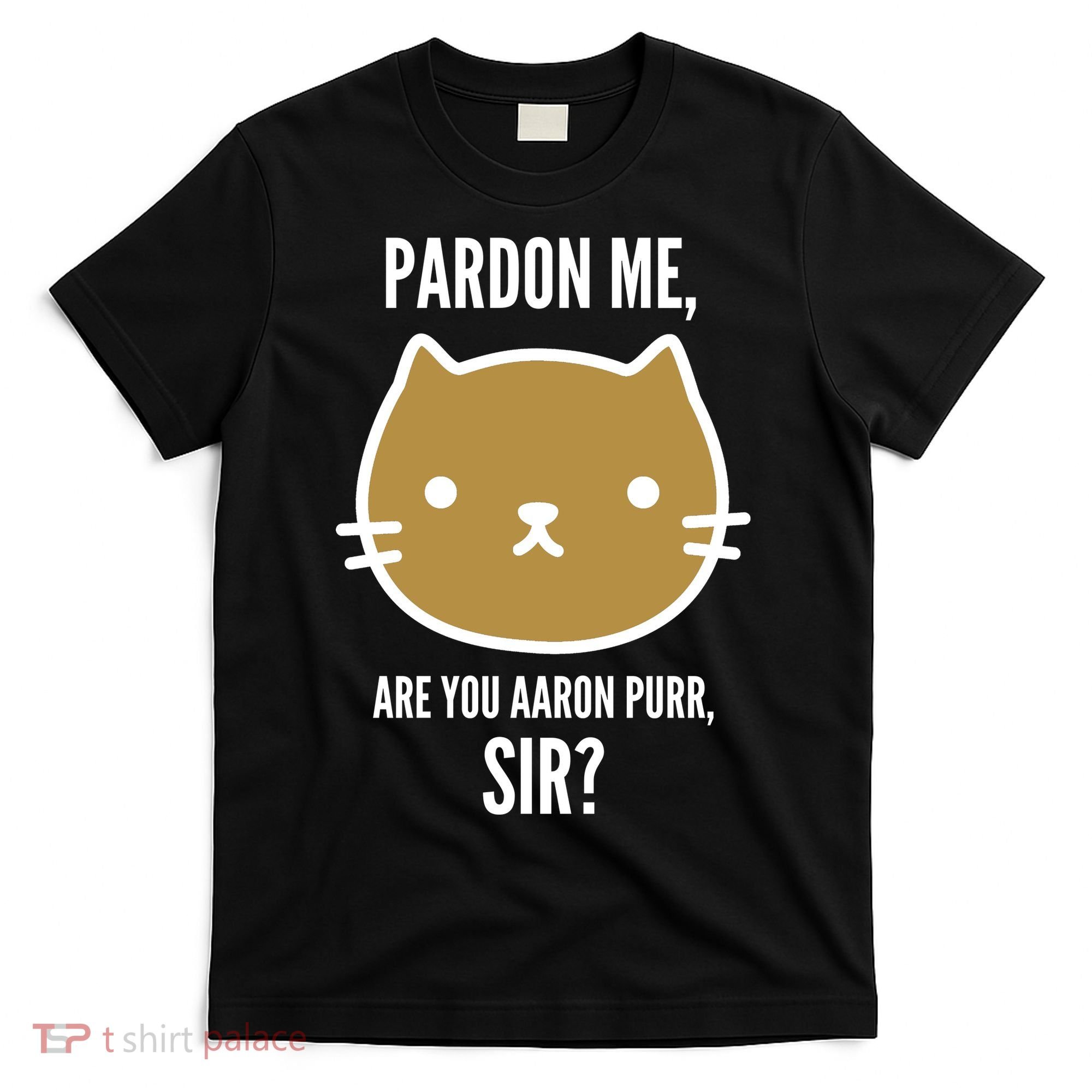 Pardon Me Are You Aaron Purr, Sir? T-Shirt