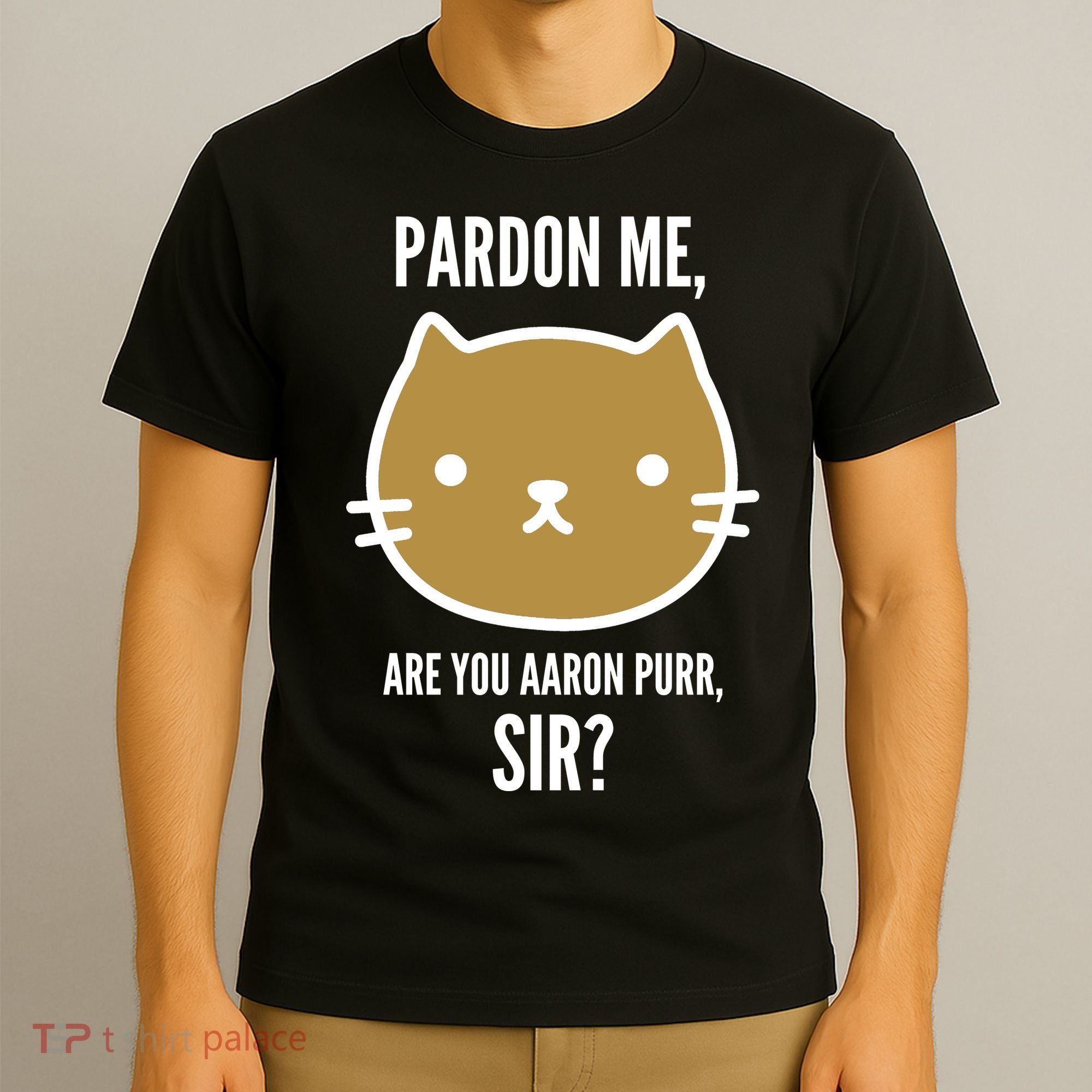 Pardon Me Are You Aaron Purr, Sir? T-Shirt