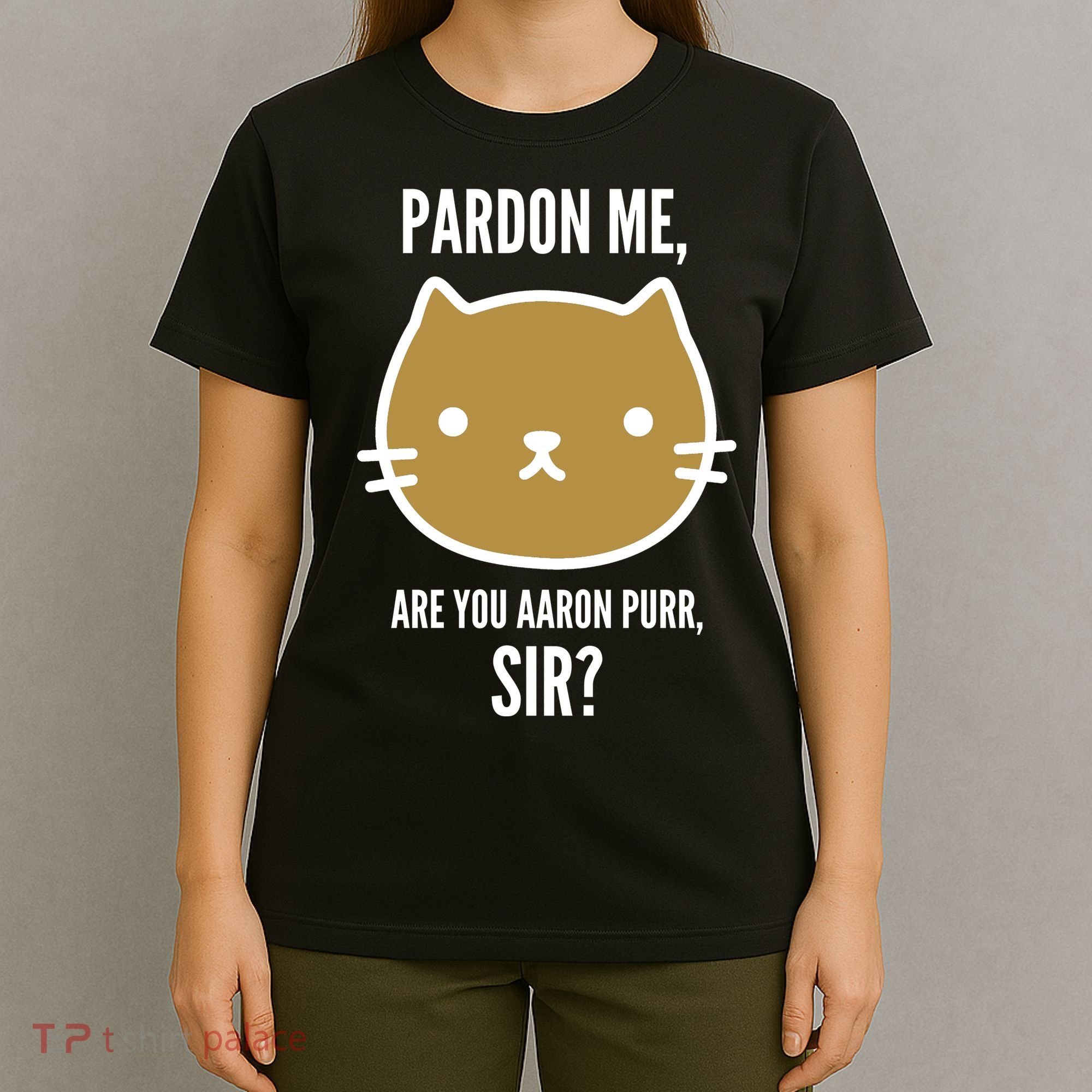 Pardon Me Are You Aaron Purr, Sir? T-Shirt