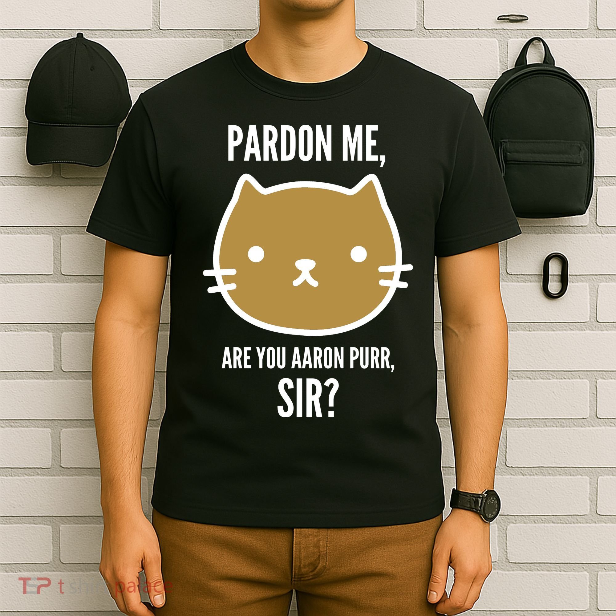 Pardon Me Are You Aaron Purr, Sir? T-Shirt