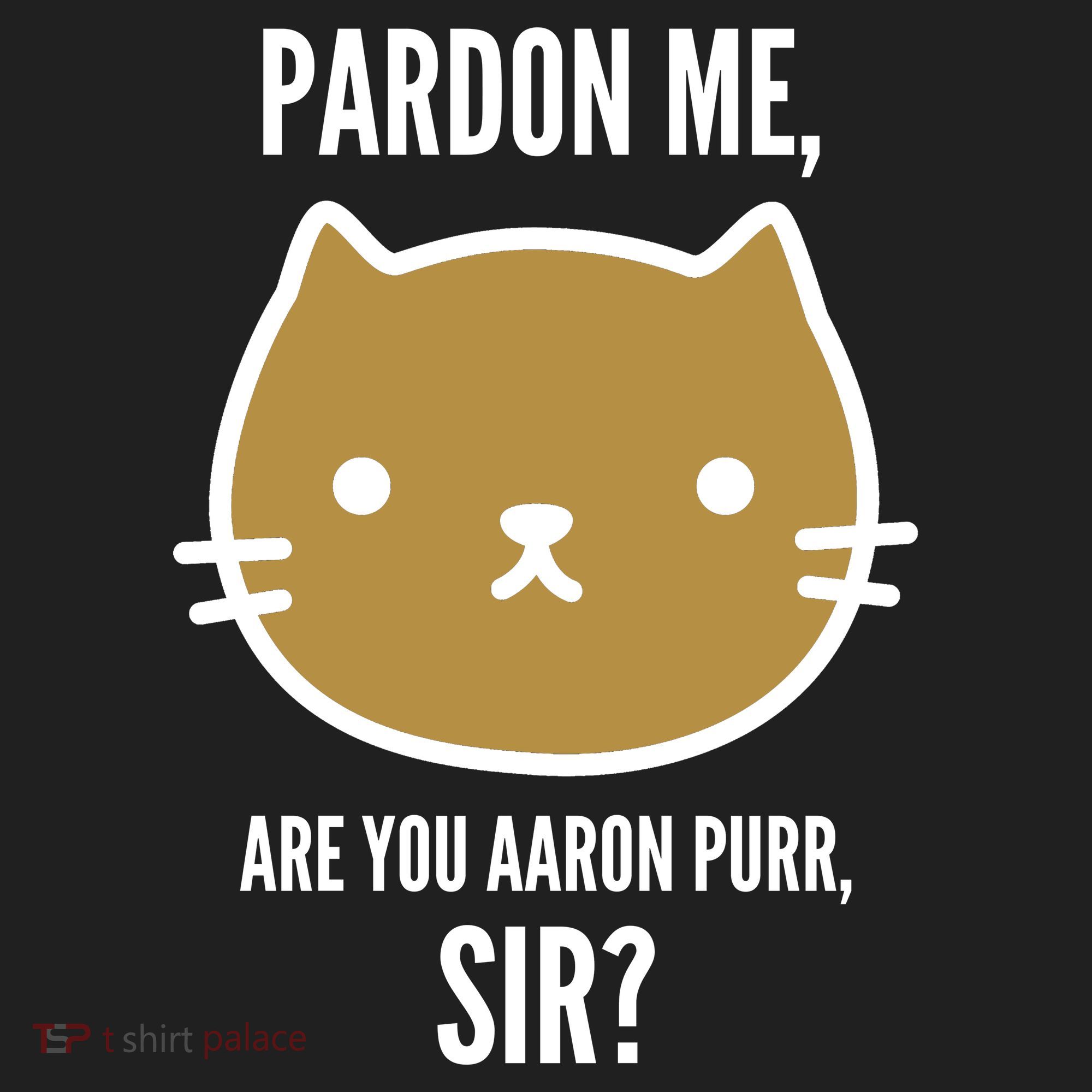 Pardon Me Are You Aaron Purr, Sir? 11oz C Handle Ceramic Mug