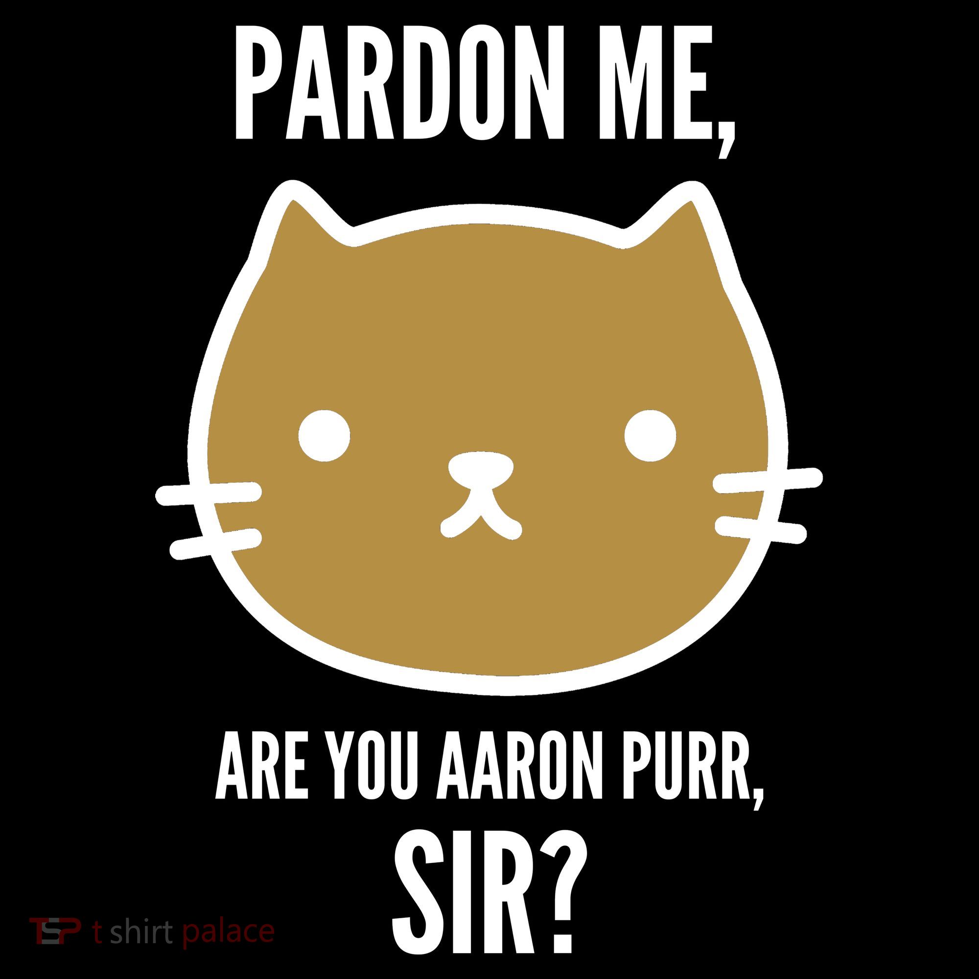 Pardon Me Are You Aaron Purr, Sir? Coaster