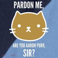 Pardon Me Are You Aaron Purr, Sir? Raglan Baseball Sleeve Shirt thumb 2