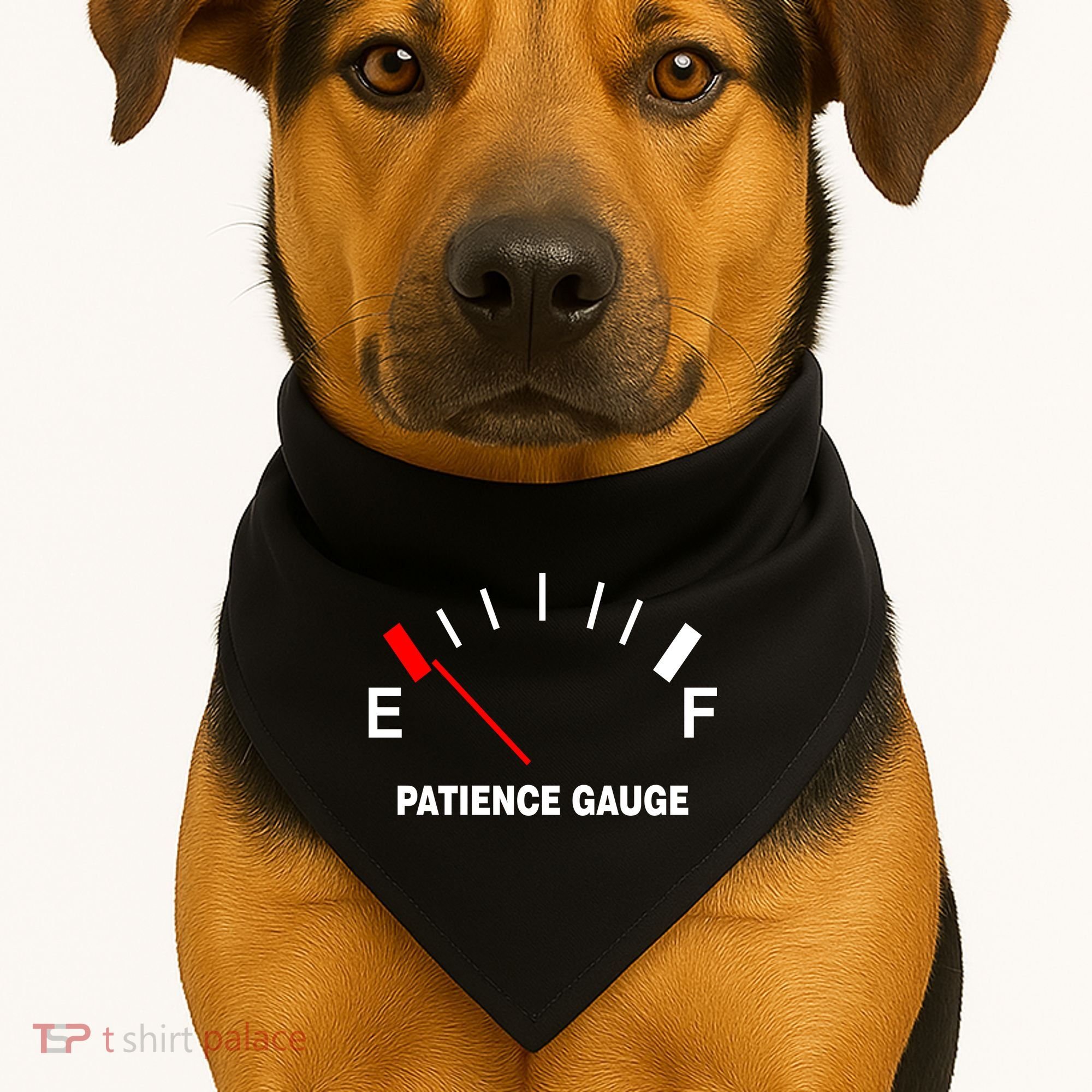 Patience Gauge Nearly Empty USA-Made Doggie Bandana