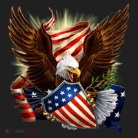 Patriot Eagle American Shield Women's Sweatshirt thumb 2
