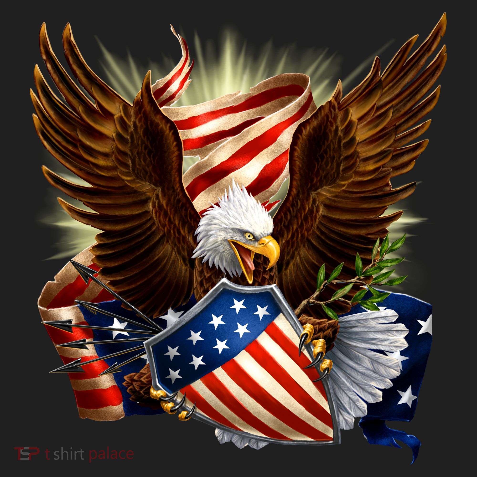 Patriot Eagle American Shield Beanie