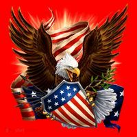 Patriot Eagle American Shield Santa Hat thumb 1